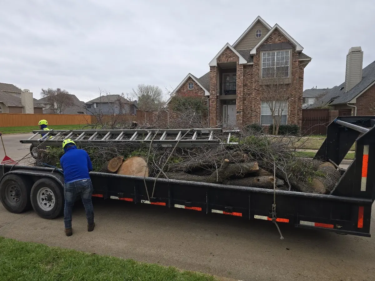 Expert Crown Reduction with proper safety equipment in Groveland